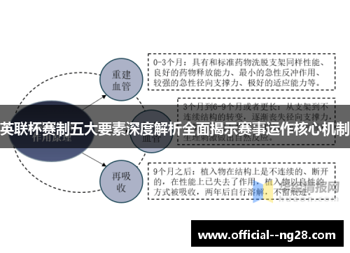 英联杯赛制五大要素深度解析全面揭示赛事运作核心机制 英联杯赛制五大要素深度解析全面揭示赛事运作核心机制