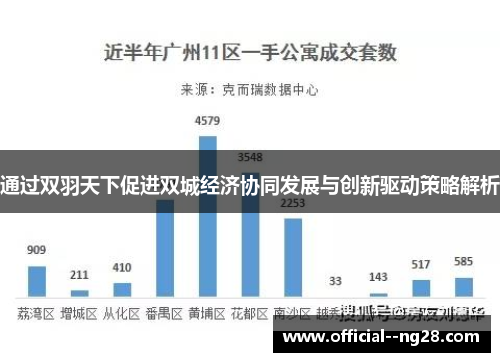通过双羽天下促进双城经济协同发展与创新驱动策略解析