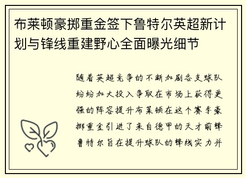 布莱顿豪掷重金签下鲁特尔英超新计划与锋线重建野心全面曝光细节